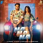Na Na Na (feat. Tej Gill) artwork