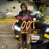 Nuh Regula Coot artwork