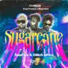 Sugarcane (Sped up & Glitch Africa Remix) - Single album lyrics, reviews, download