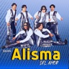 Grupo Alisma del Amor - Single