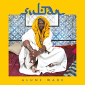 Alune Wade - Nasty Sand (feat. Mehdi Nassouli)