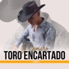 Toro Encartado - Single, 2022
