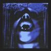 Vampire Girl - Single