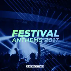 Festival Anthems 2017 by Various Artists album reviews, ratings, credits