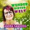 Wunder dieser Welt - Single