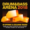 Anthony Singh - Drum&BassArena 2018 (Continuous Mix 2)