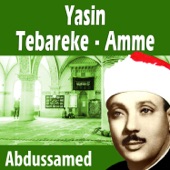 Yasin Tebareke Amme artwork