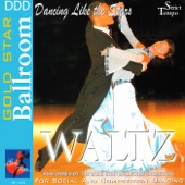 Dancing Like the Stars - Waltz artwork