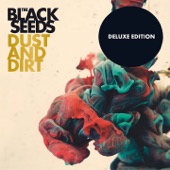 The Black Seeds - Dust And Dirt