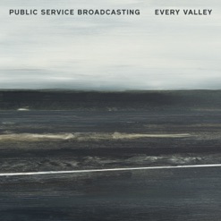 EVERY VALLEY cover art