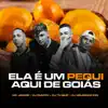 Ela é um Pequi Aqui de Goiás (feat. DJ TN Beat) - Single album lyrics, reviews, download