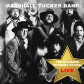 Big Bang Concert Series: The Marshall Tucker Band (Live) artwork