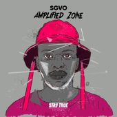 Amplified Zone artwork