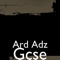 Gcse - Ard Adz & Sho Shallow lyrics