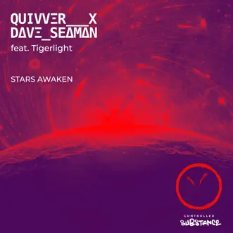 Stars Awaken - Single by Quivver, Dave Seaman & Tigerlight album reviews, ratings, credits