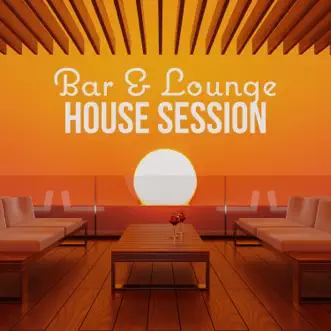 Bar & Lounge House Session by Various Artists album reviews, ratings, credits