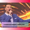 S namerom dodjoh u veliki grad (Live Cover) - Single