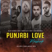 Punjabi Love (Mashup) artwork