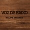 Rap 90 - Felipe Tavares lyrics