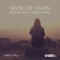 Never Cry Again (Rowald Steyn & Gustixa Remix) artwork