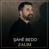 Zalim - Single