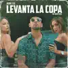 Stream & download Levanta la Copa - Single