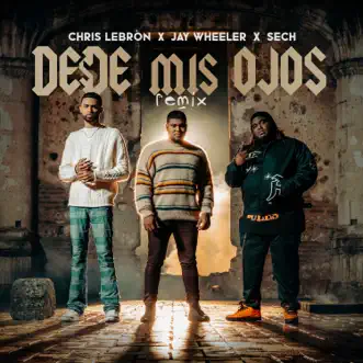Desde Mis Ojos (Remix) by Chris Lebron, Sech & Jay Wheeler song reviws