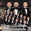 Tributo al Regional Mexicano 2