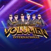 Grupo Volumen Internacional
