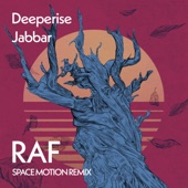 Raf (Space Motion Remix) artwork