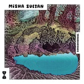 Misha Sultan - Not Every Lake Dreams Of Being A Magic Swamp