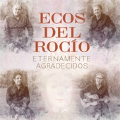 El Manantial De Los Ecos artwork
