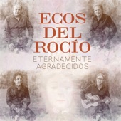 Eternamente Agradecidos artwork