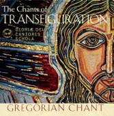 The Chants of Transfiguration artwork