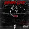 Gemini Love - Single album lyrics, reviews, download