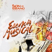 Esencia Musical artwork