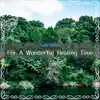 For a Wonderful Healing Time album lyrics, reviews, download