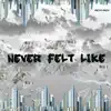 Never Felt Like - Single album lyrics, reviews, download