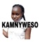 Kamnyweso - Mesh Beats & Mesh Kiviu Msanii lyrics