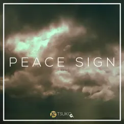 Peace Sign Song Lyrics