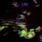 回路 - SEDY NEZZ & juda lyrics