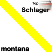 Top Schlager - Various Artists