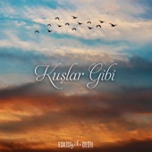 Kuşlar Gibi artwork