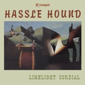 Hassle Hound - Lucky Bugs Win Prizes