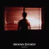 Stream & download Unknown Sentiment - Single