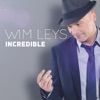 Incredible - Single