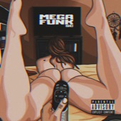 Mega Funk Sc é o Fluxo artwork