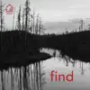 Find (feat. Dario Chiazzolino & Mike Mitchell) [Tiny Room Sessions] - Single album lyrics, reviews, download