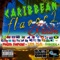 Caribbean Flavor 2 Riddim - South Rakkas Crew & DM21 lyrics