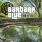 I Never Stopped Loving You - Barbara Blue lyrics